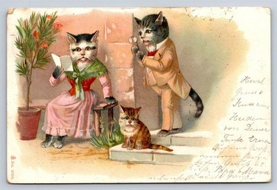 Postcard Anthropomorphic Dressed Cats Family Scene Reading Spectacles c1904 AS11