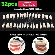 US Dental Typodont Replacement Screw-in Teeth Model fit Kilgore NISSIN 200 Type