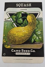Vintage Summer Squash Seed Packet - Card Seed Co Fredonia NY - NOS