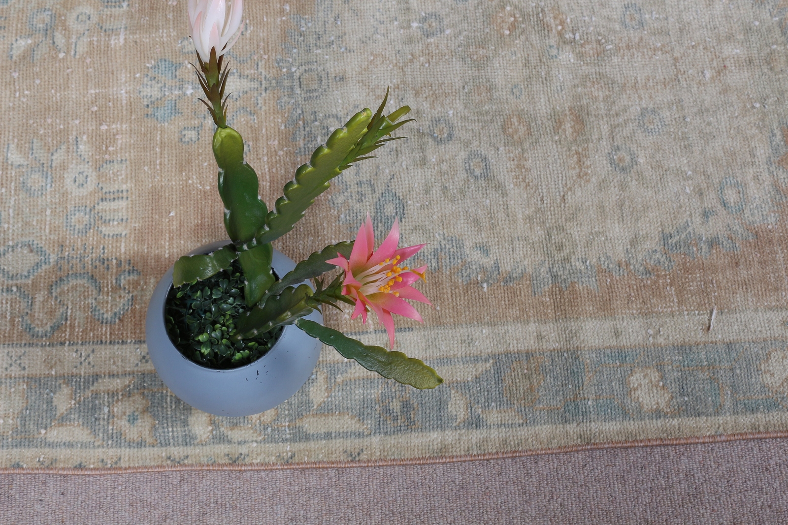 Picture 6 of 10