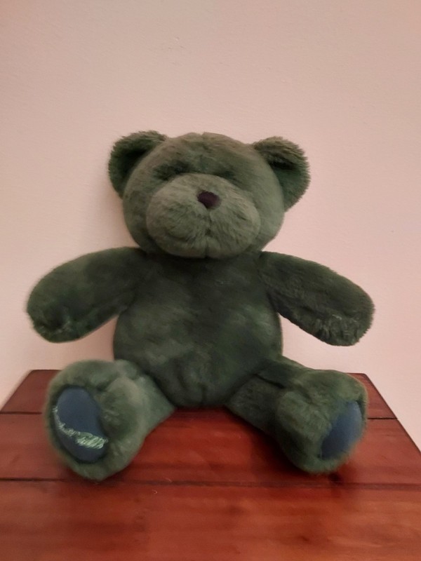 MARSHALL FIELD'S 2003 GREEN TEDDY BEAR PLUSH FOOT LOGO TUSH TAG EXCELLENT 