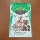 NATURE PROTECTION Original vintage poster 1985, animals Art Decoration