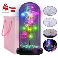 Eternal Forever Romantic Rose Flower In Glass Dome LED Light Christmas Gift