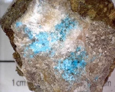 20754 MM Cavansite (Co-Type Locality) Lake Owyhee State Park Malheur County Oreg