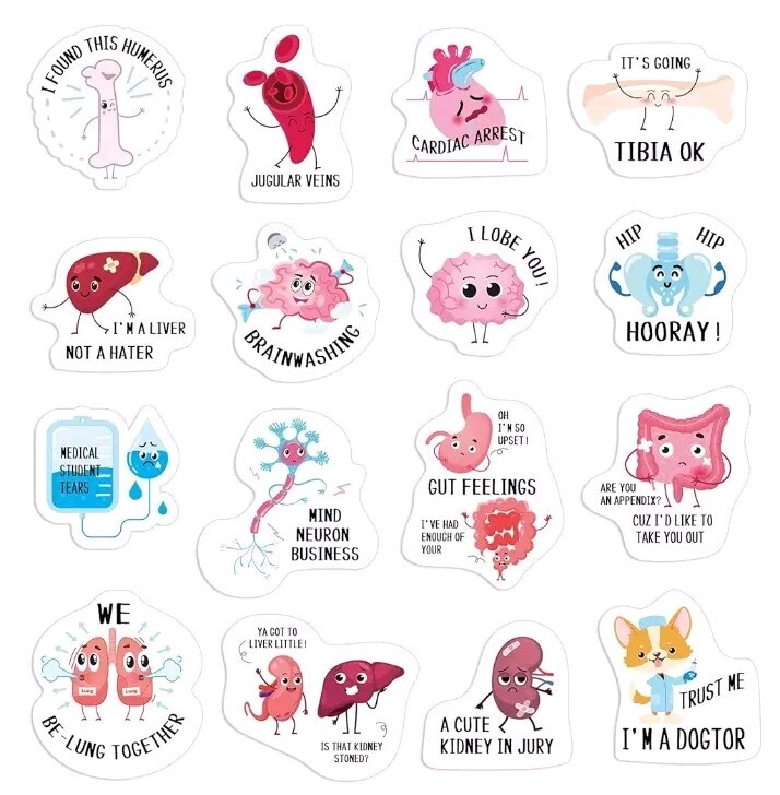 350 Nurse Healthcare Medical Vinyl Sticker Laptop Water Bottle Sticker Decal