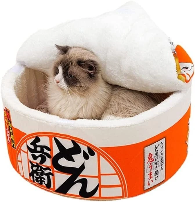 Weird cat cheap beds