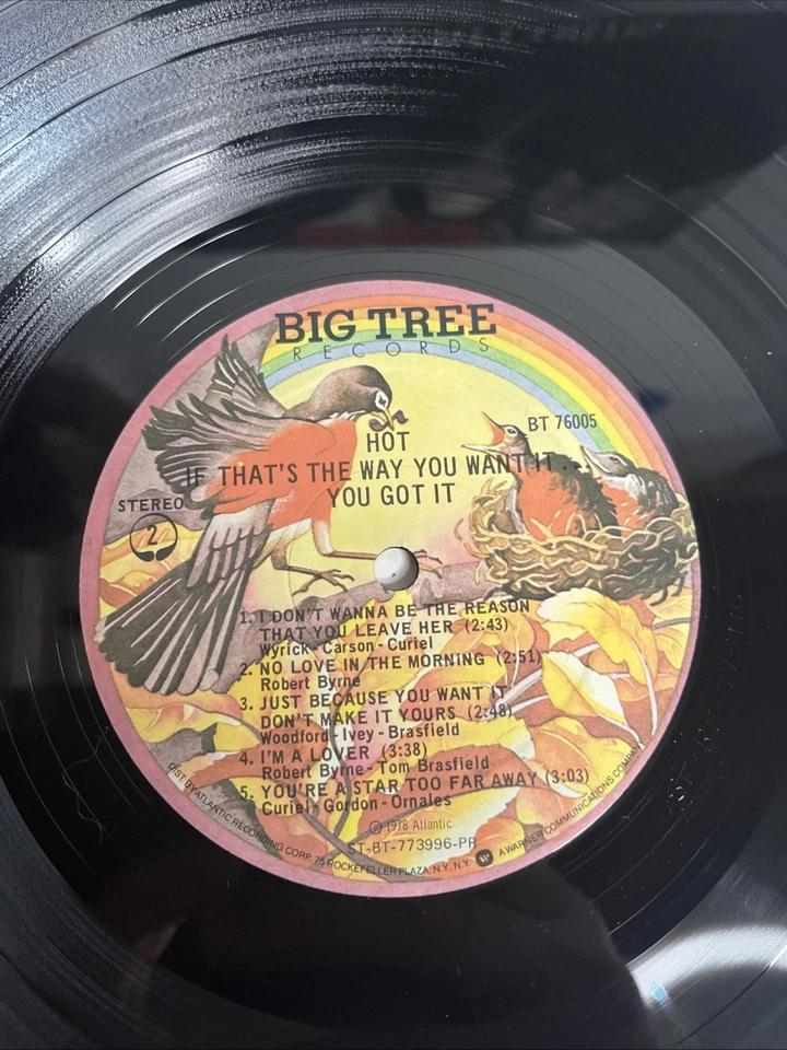 Hot If That's The Way You Want It...You Got It (1978) Vinyl LP (BT 76005) Promo - Image 2 of 4