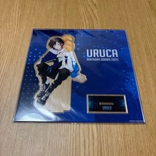 Crazy Raccoon CR Uruka Acrylic Stand