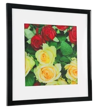 8x8 Picture Frame Display Pictures 4x4 with Mat or 8x8 Without Mat