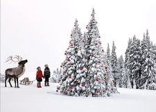 Xmas Tree, Kids & Reindeer Christmas Cards Boxed With Envelopes Set of 12 Hol...