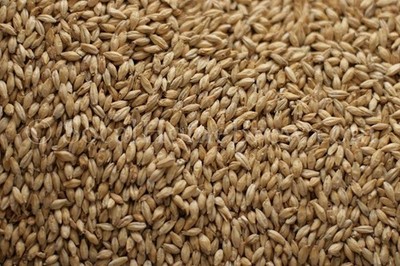 2-Row Malt (5 lb) for Home Brew Beer Making