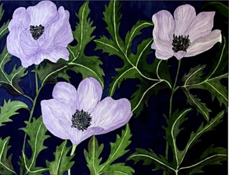 PAINTING WATERCOLOR 11X14 WHITE MAT 16X20 FLOWER POPPY LAVENDER PURPLE ORIGINAL