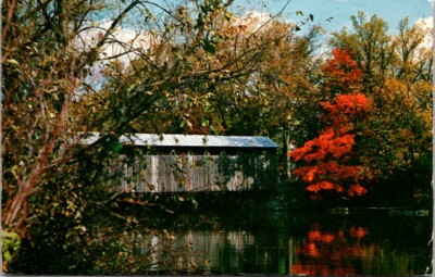 Vintage Postcard Fall Colors Fallasburg Covered Bridge Lowell Michigan MI   R540