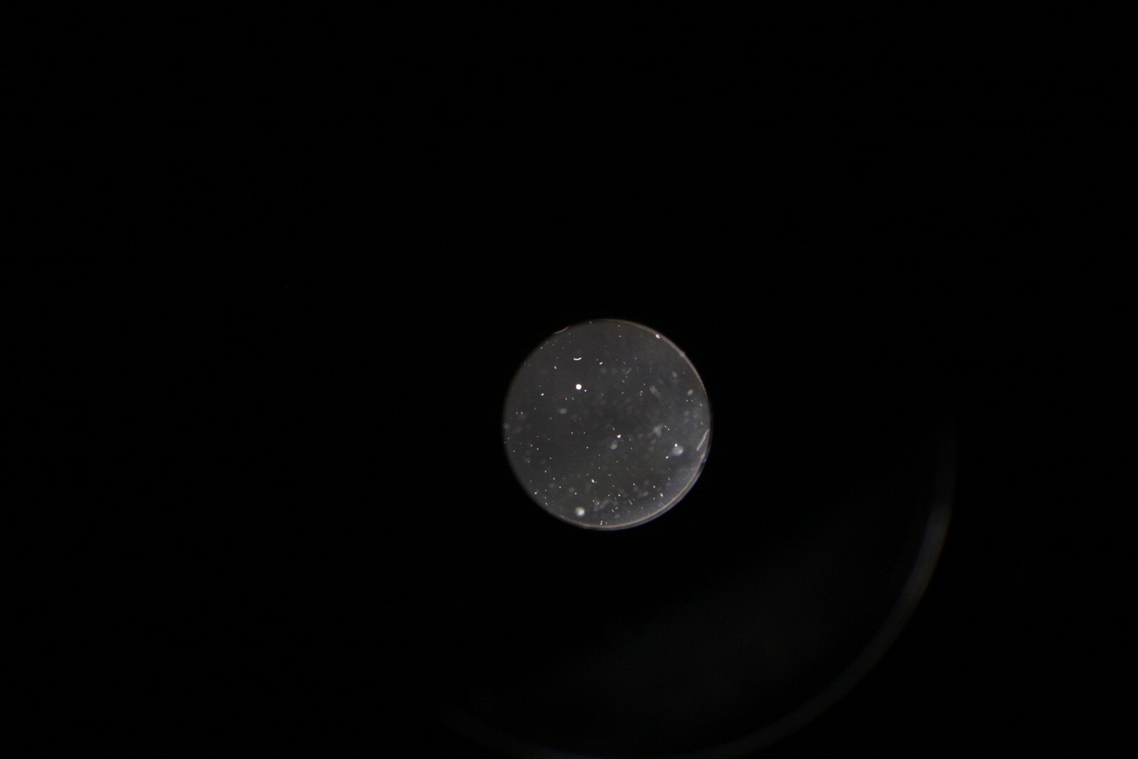 Picture 6 of 15