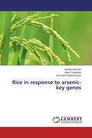 Sandip Debnath (U. A.) | Rice In Response To Arsenic-Key Genes | Taschenbuch