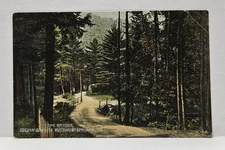 The Bridge Colvin's White Sulphur Springs Pennsylvania Vintage Postcard Unposted