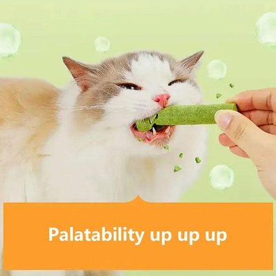 #ad *.NEW Cat Grass Sticks For Indoor Cat Grass Chew Sticks Hot Cleaner Teeth F2O3 $6.71
