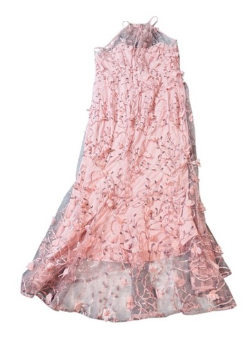 NWT Dessy SHEER HALTER NECK 3D FLORAL EMBROIDERED DRESS HIGH-LOW HEM Pink SZ 12 - Picture 5 of 11