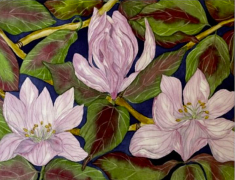 PAINTING WATERCOLOR 11X14 & WHITE MAT 16X20 FLOWER MAGNOLIA PINK LAVENDER GREEN