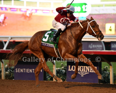 Gun Runner 2017 Breeders' Cup Classic Photo 8'' x 10 - 24'' x 30'' 