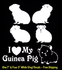 I LOVE MY GUINEA PIG 5 White Decals Car Truck Windows Mirror Laptop Tablet
