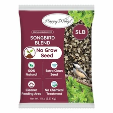 Songbird Blend Bird Food, Mix of Sunflower Seeds/Kernels, Safflower... Fast Ship