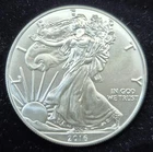 2016 American Silver Eagle Coin One Oz .999 Fine Silver US Mint (#306)