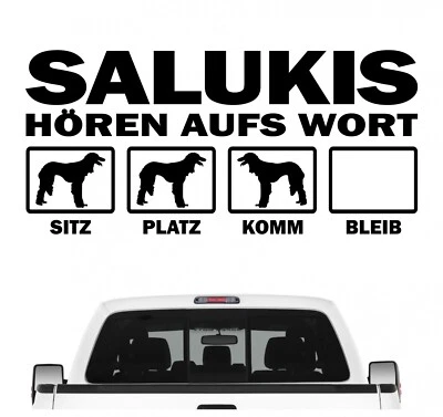 Saluki Tazi Windhund hört aufs Wort Hunde Auto Aufkleber Autoaufkleber Hund Foli - Bild 1 von 4