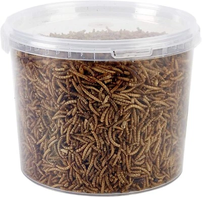 Garden Ting Dried Mealworms Tub, 3 Litre Tub