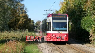 FOTO STRASSENBAHN 2550 BEI PHIPPS BRÜCKE DIE STRASSENBAHN SIEHT MAN DURCH DEN MORDEN