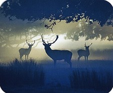 "Big Buck" Deer Computer / Laptop Mouse Pad