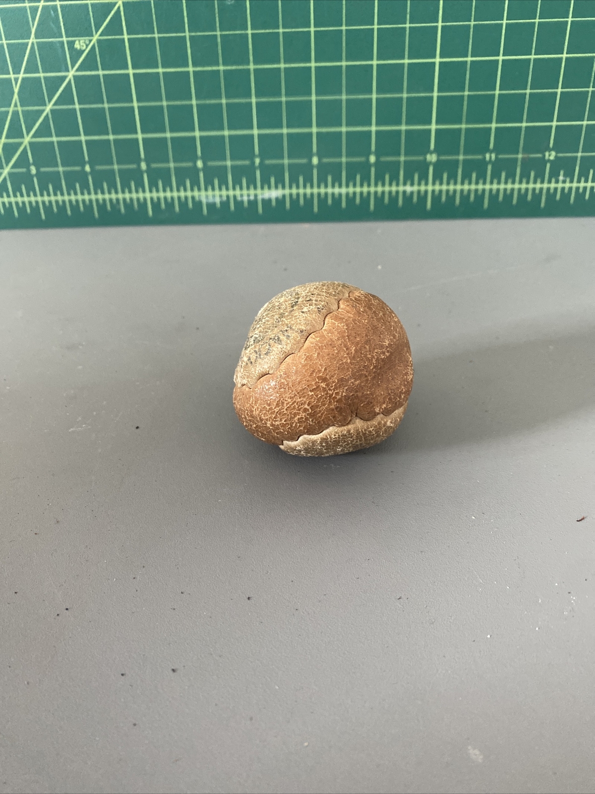 Picture 3 of 17