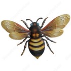 Afbeelding 5 van 6