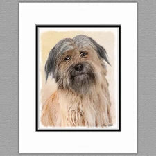 Pyrenean Shepherd Dog Original Art Print 8x10 Matted to 11x14