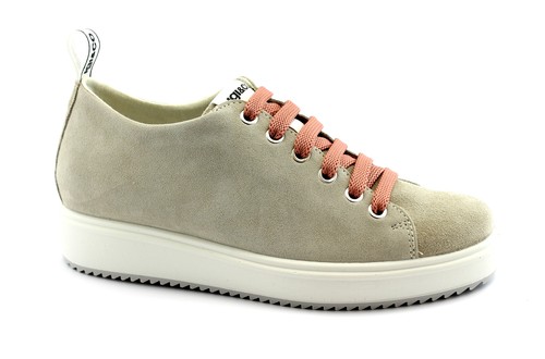 IGI\u0026CO sneakers donna 81724-11 in pelle bianca bottalata con laccio zebrato  e zip laterale|acquista online su Shoe Center