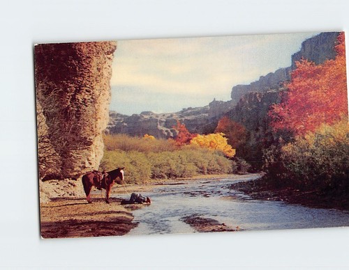 Postcard Quenching Thirst - 第 1/2 張圖片