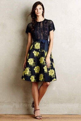 Byron Lars Beguile Lace Floral Dress Anthropologie Sunrose Fit & Flare 4/6 NWOT