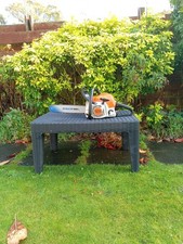 Stihl MS171 Chainsaw