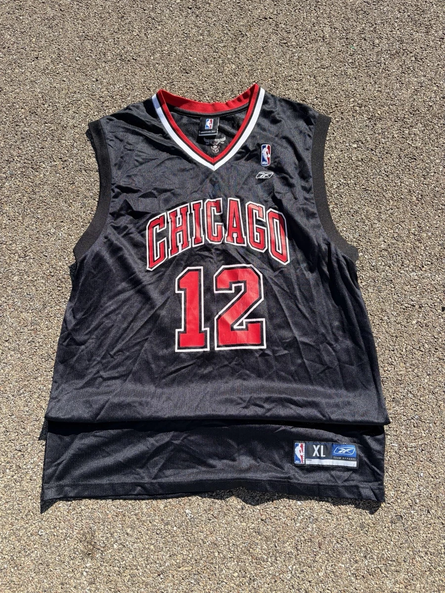 kirk hinrich jersey products for sale | eBay