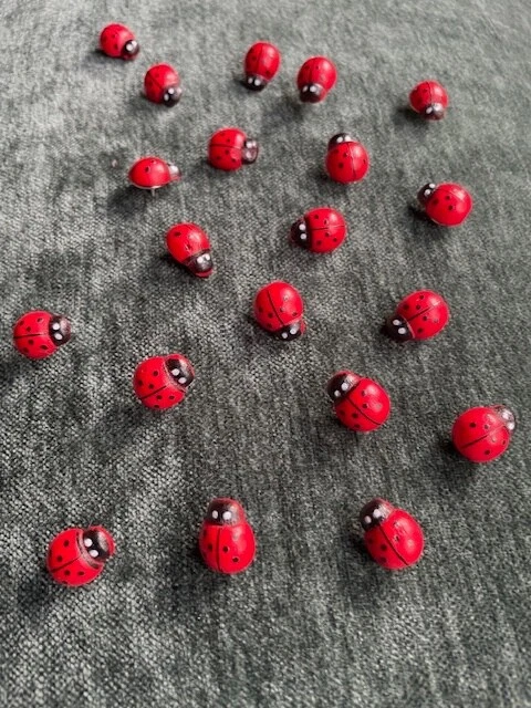 Ladybug Pack de 20 Pequeñas Tachuelas Decorativas Madera Pulgar Pin Jardín Cottagecore Foto 2 de 4