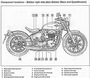 Haynes Handbuch: Triumph Boneville, Speedmaster, Bobber, Cup, Reparaturanleitung - Bild 2 von 3