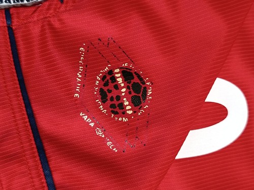 maglia calcio vintage Chile ZAMORANO Umbro 1999 2000 home Copa America - Foto 9 di 12
