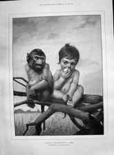 Old Antique Print 1890 Egotist Little Child Monkey Tree Fine Art Dvorak 19th