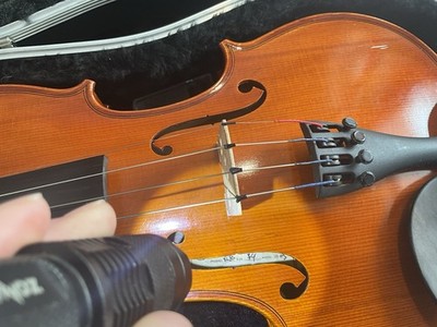 Samuel Eastman VL80 Student Violin 22