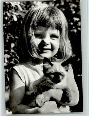 40136436 - Girl carrying a young Siamese cat in front of her chest cat