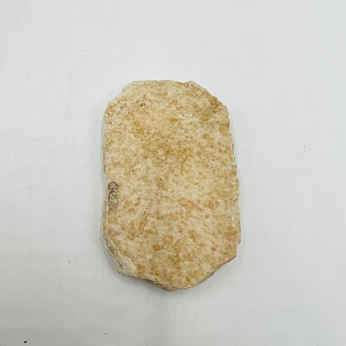 Fish Stone Fossil 3” by 1.5” - Picture 5 of 11