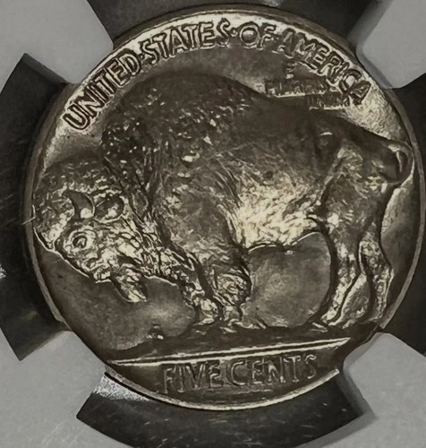 1915 Buffalo Nickel - NGC MS64 Sharp Strike-Very High Luster- Collectors Grade
