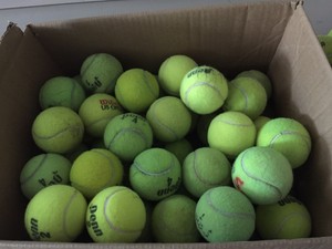 Details About 6 Used Tennis Balls Play Catch Dog Toy Walker Table Chair Feet Penn Wilson