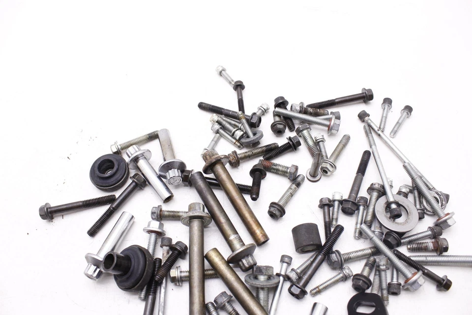 11 pernos de motor Harley-Davidson Fatboy Lo FLSTFB OEM HARDWARE MOTOR R11.BX17 Foto 3 de 4