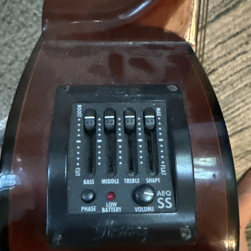 Guitarra Acústica IBANEZ PC-NT-14 ¡EXCELENTE ESTADO!! Foto 3 de 4